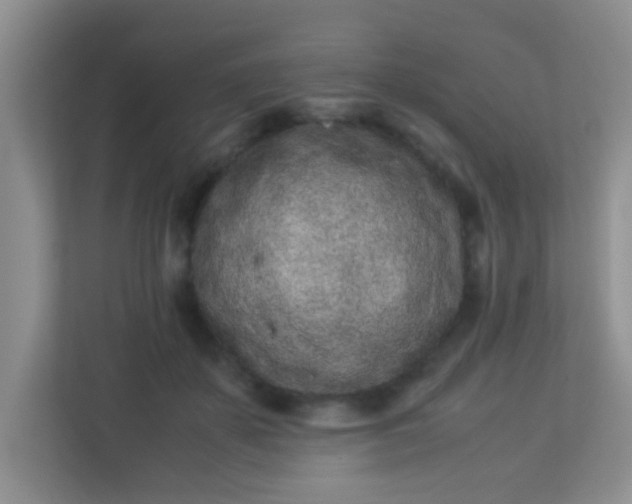 X0000113330507200909281230
