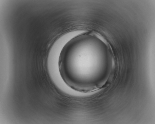 X0000113330508200909281230