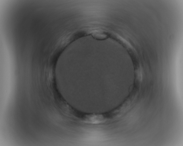 X0000113330517200909281230