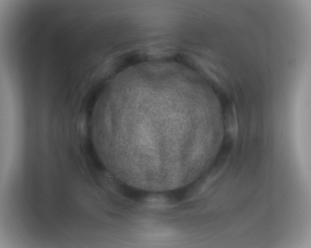 X0000113330519200909281230