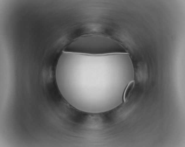X0000113330520200909281230