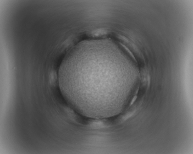 X0000113330523200909281230