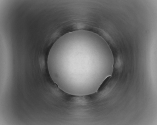 X0000113330524200909281230