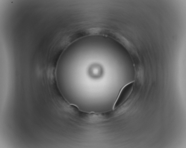 X0000113330525200909281230