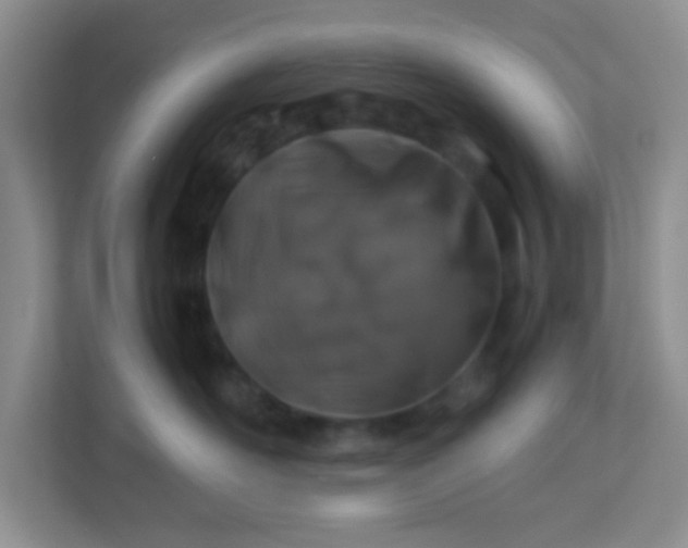 X0000113330526200909281230