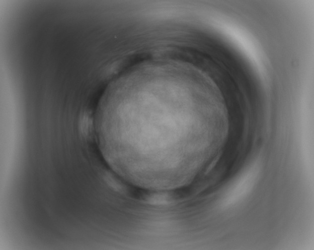 X0000113330527200909281230