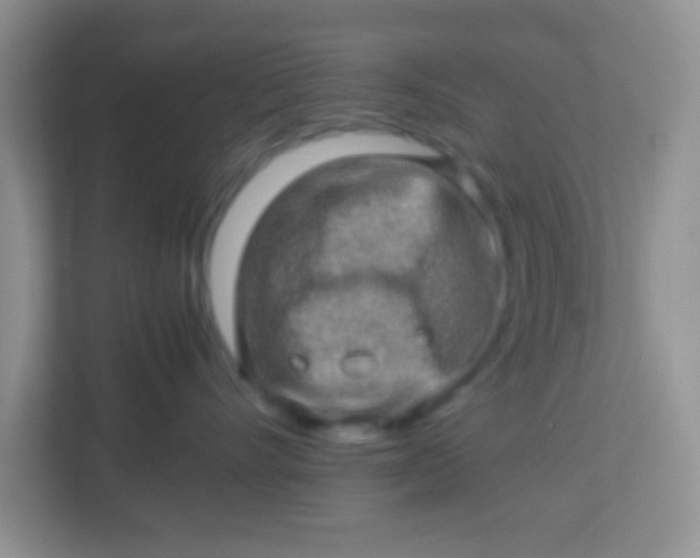 X0000113330528200909281230