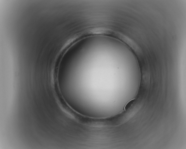 X0000113330530200909281229