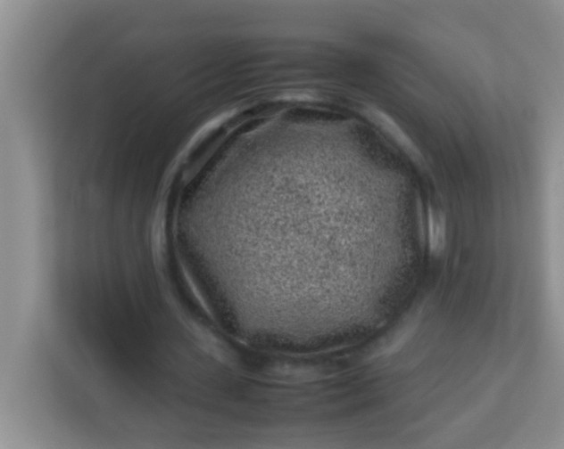 X0000113330531200909281229