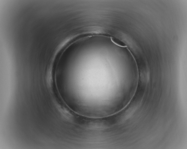 X0000113330532200909281229