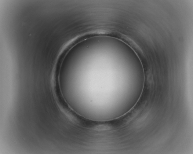 X0000113330536200909281229