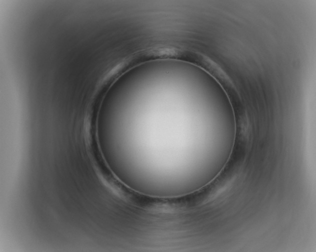 X0000113330538200909281229