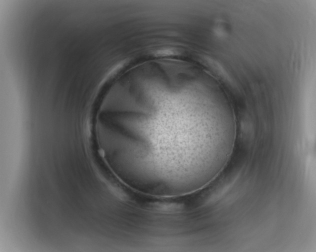 X0000113330539200909281229