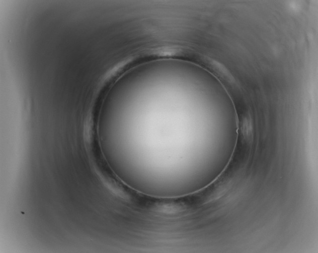 X0000113330540200909281229