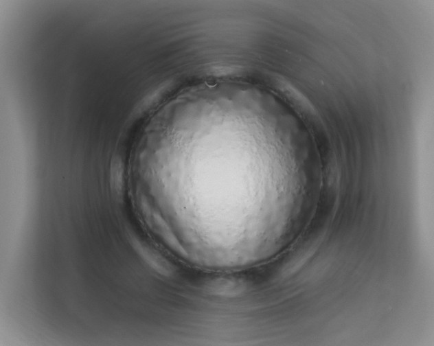 X0000113330542200909281229