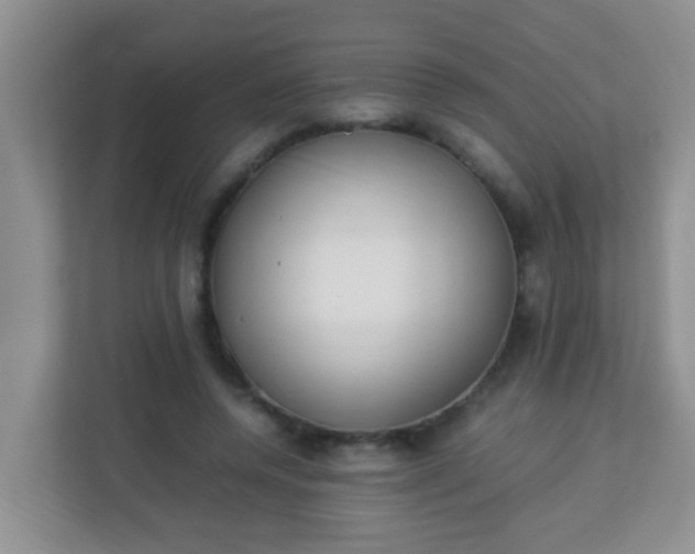 X0000113330544200909281229