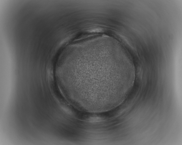 X0000113330547200909281229