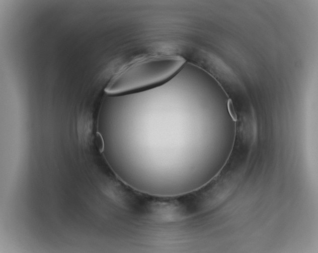 X0000113330548200909281230