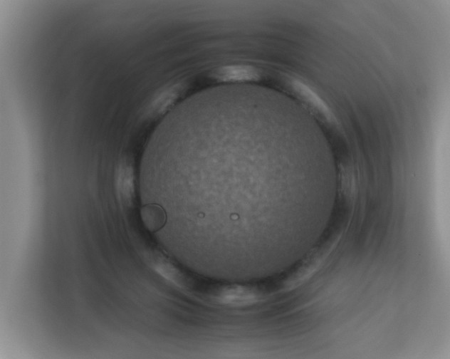 X0000113330549200909281230