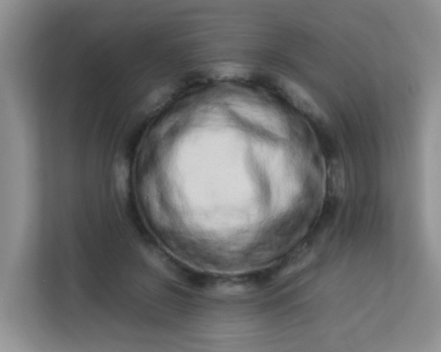 X0000113330550200909281230