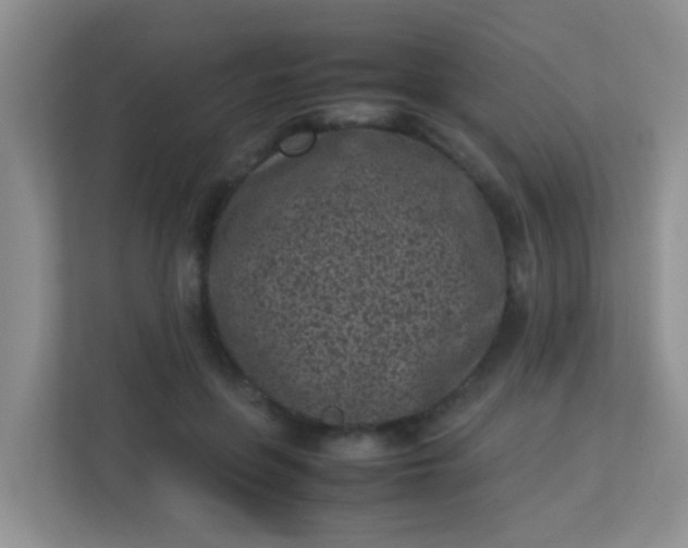 X0000113330551200909281230