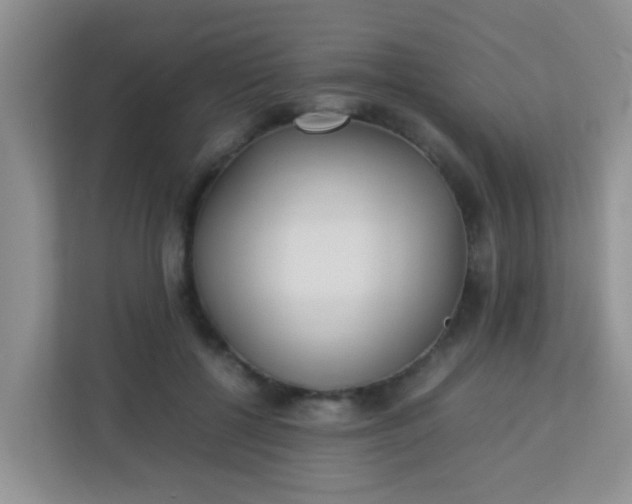 X0000113330552200909281230