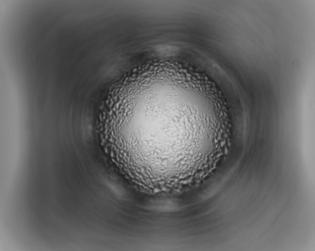 X0000113330553200909281230
