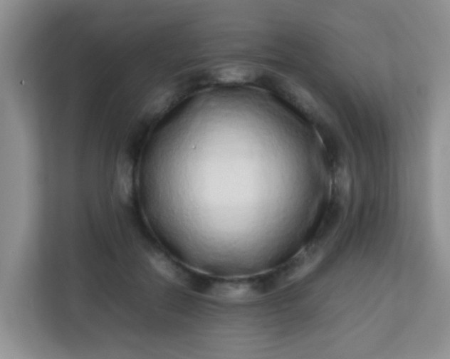 X0000113330554200909281230