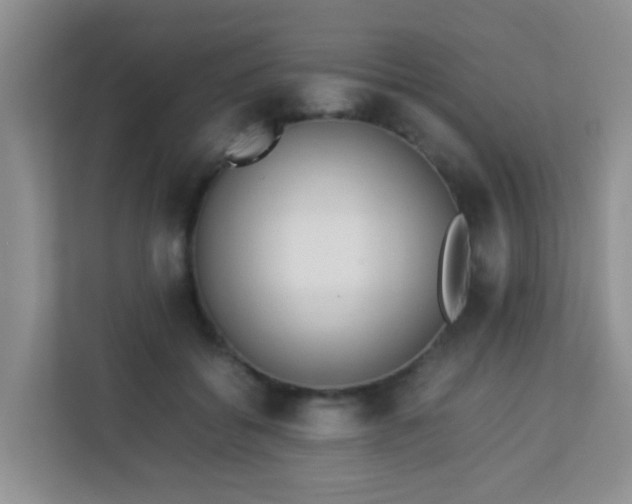 X0000113330556200909281230