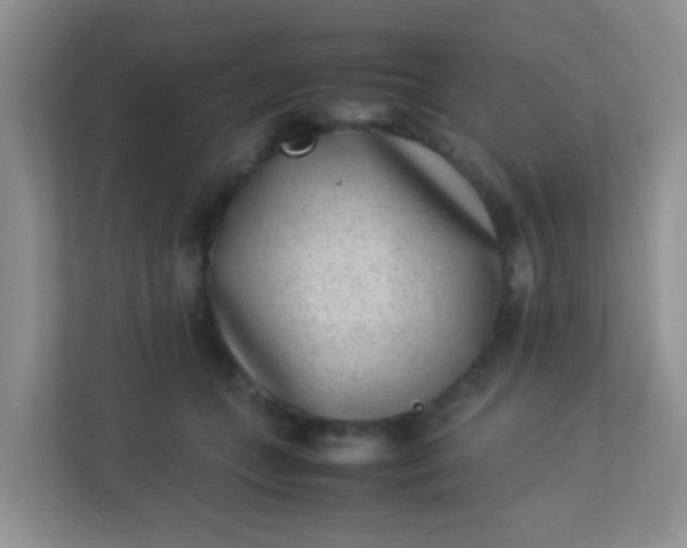 X0000113330559200909281230