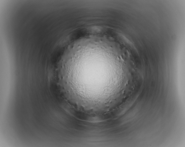 X0000113330561200909281230