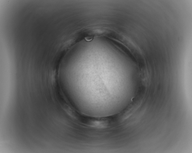 X0000113330563200909281230