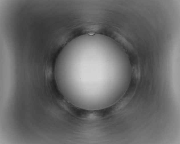 X0000113330564200909281230