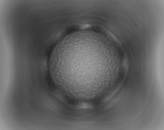 X0000113330565200909281230