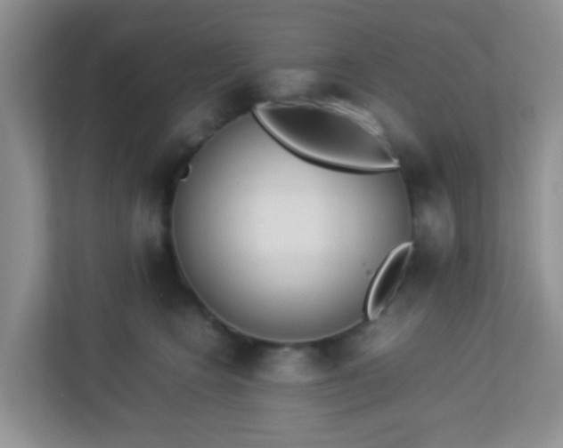 X0000113330566200909281230