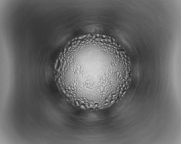 X0000113330569200909281230