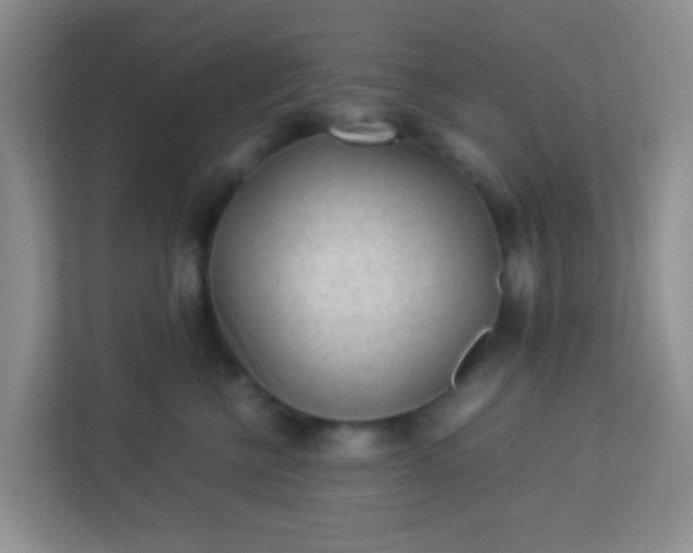 X0000113330570200909281230