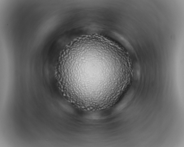 X0000113330573200909281230