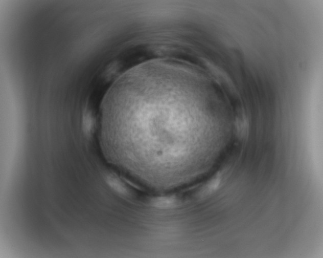 X0000113330574200909281230