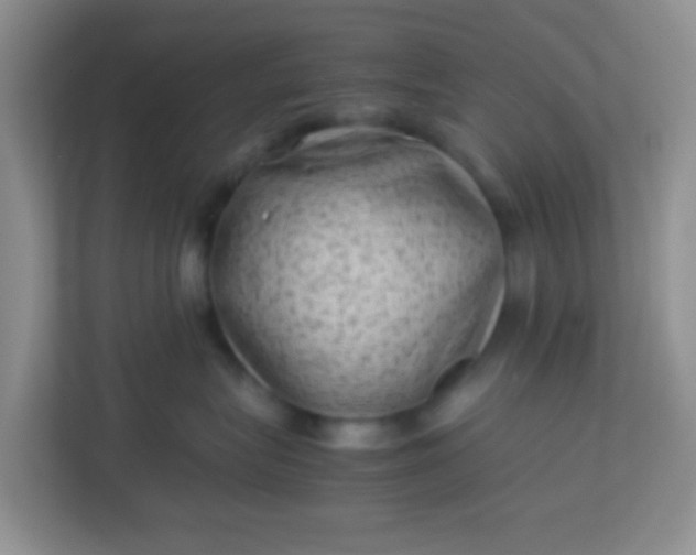 X0000113330575200909281230