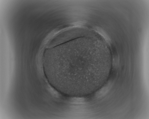 X0000113330577200909281229