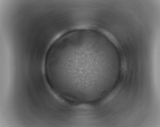 X0000113330578200909281229