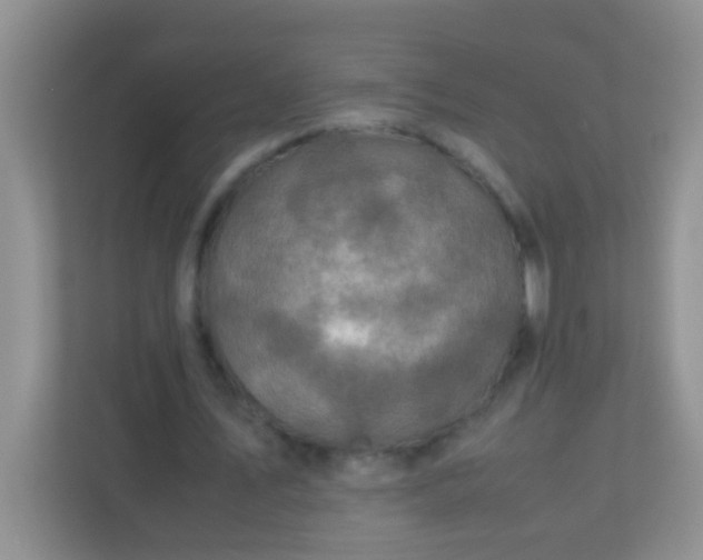 X0000113330579200909281229