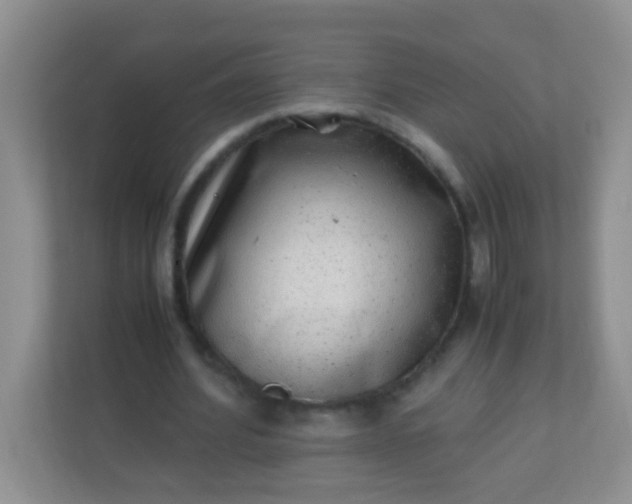 X0000113330580200909281229
