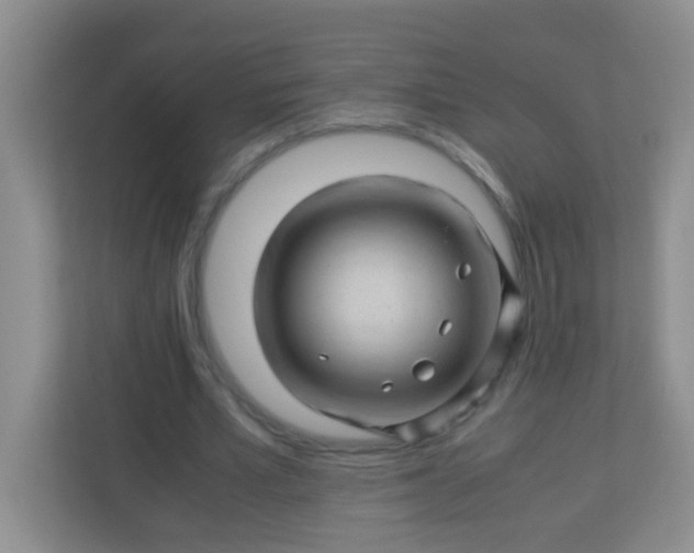 X0000113330581200909281229