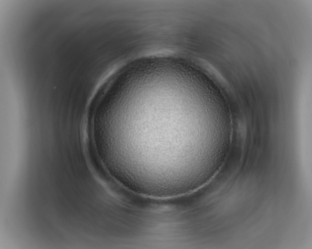 X0000113330582200909281229