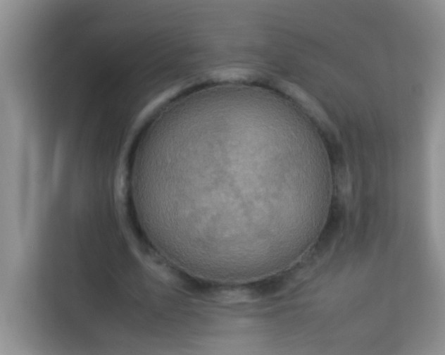 X0000113330583200909281229