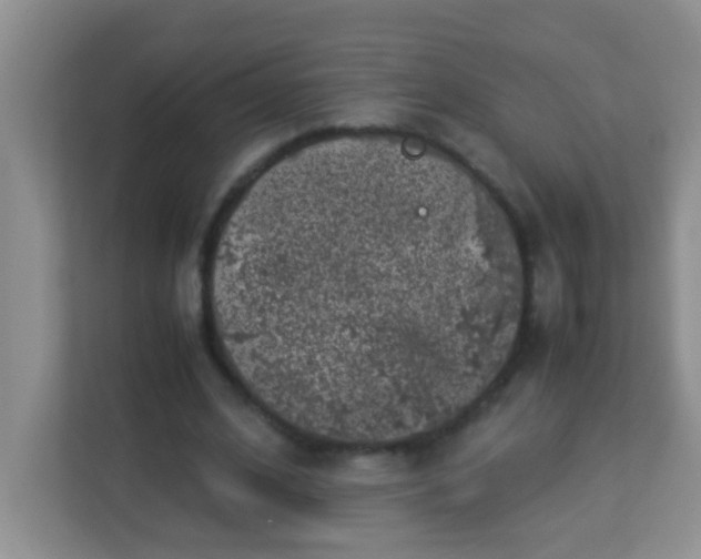 X0000113330584200909281229