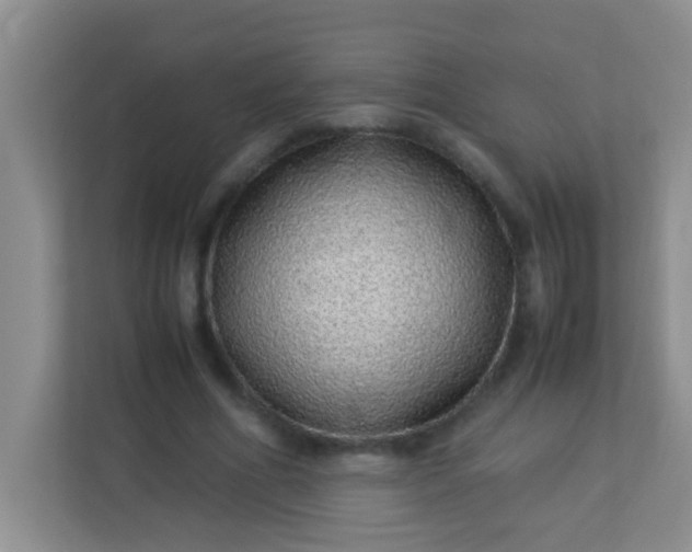 X0000113330586200909281229