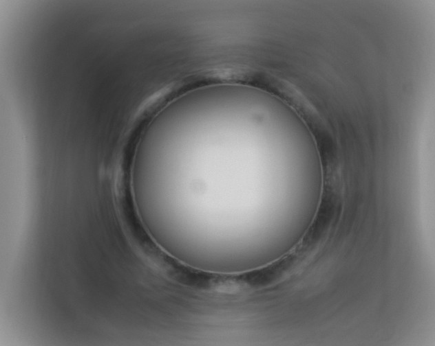 X0000113330587200909281229